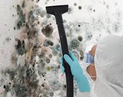 Reliable Harriman, TN Mold Inspection Solutions